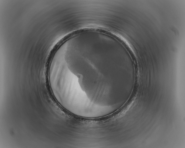 X0000113340783200910060957