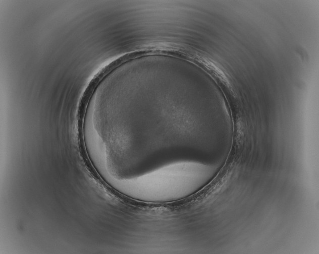 X0000113340784200910060957