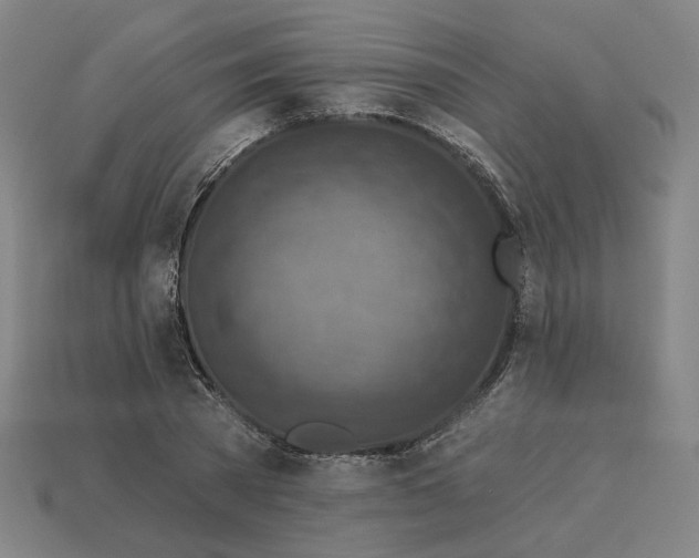 X0000113340785200910060957