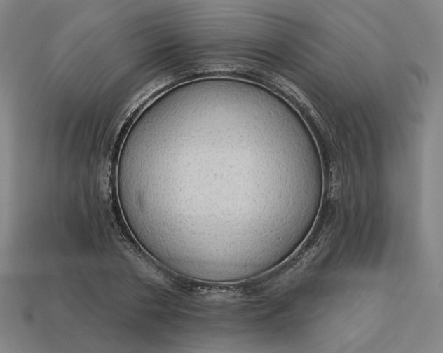 X0000113340786200910060957