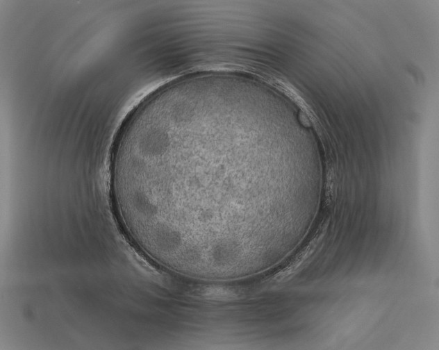 X0000113340787200910060957