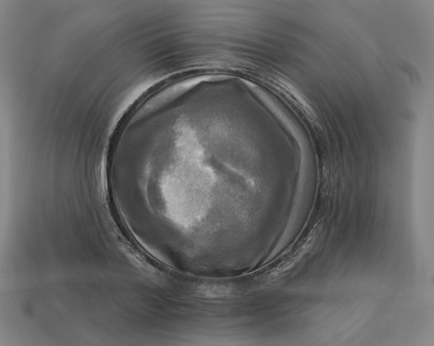 X0000113340788200910060957