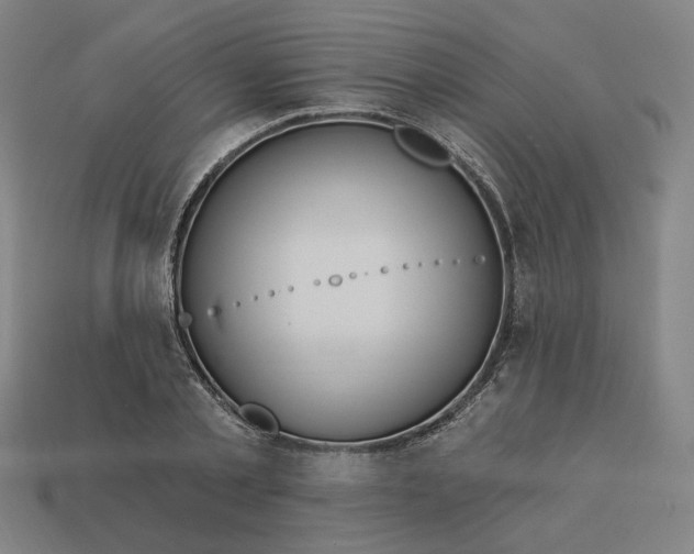 X0000113340789200910060957