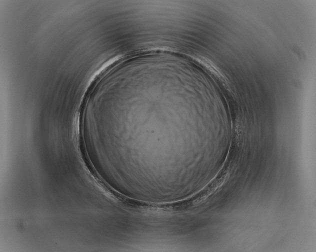 X0000113340790200910060957