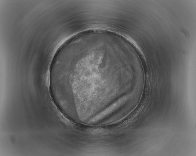 X0000113340791200910060957