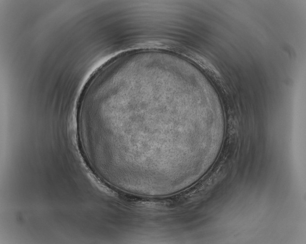 X0000113340792200910060957