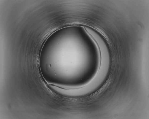 X0000113340793200910060957