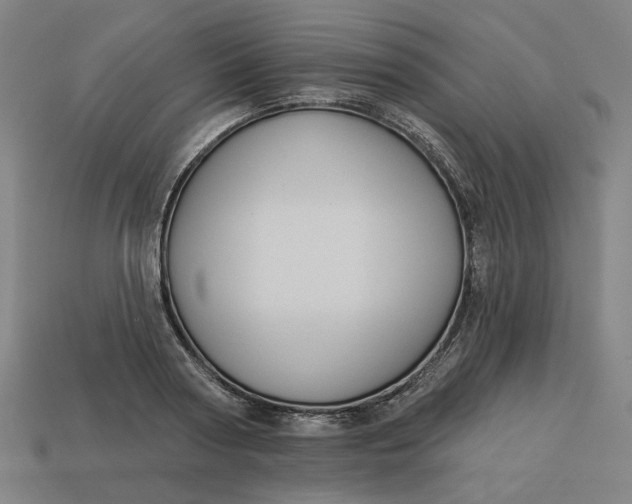 X0000113340794200910060957