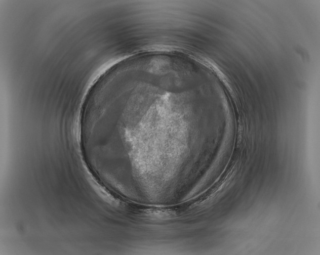 X0000113340795200910060957