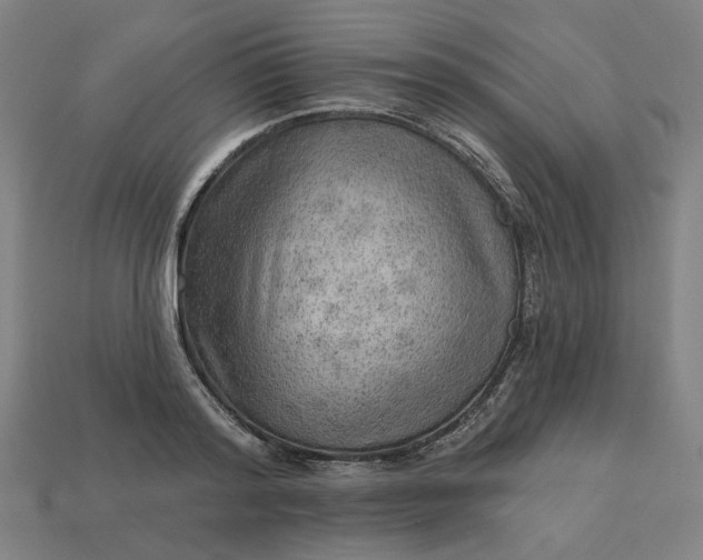 X0000113340796200910060957