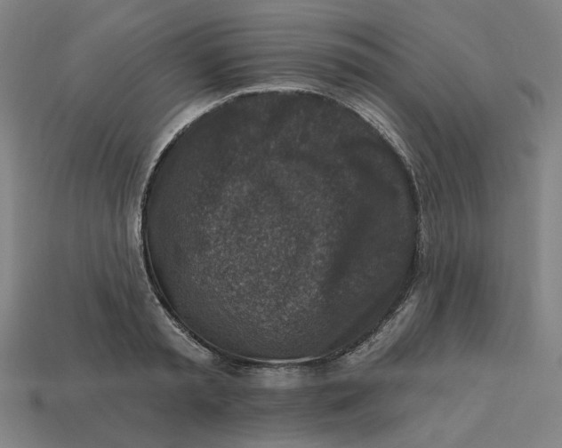 X0000113340797200910060957