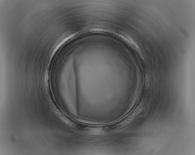 X0000113340798200910060957