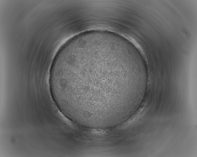 X0000113340799200910060957