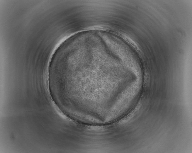 X0000113340800200910060957