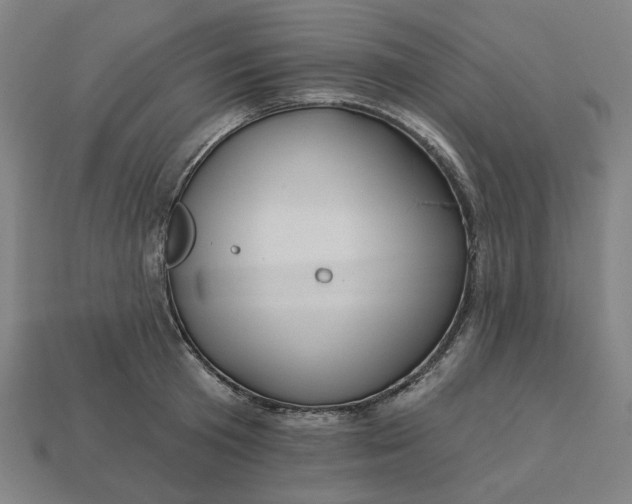 X0000113340801200910060957