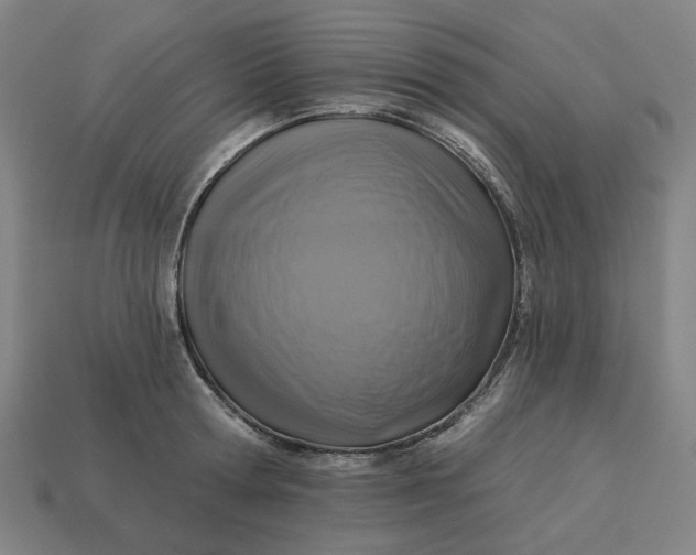 X0000113340802200910060957