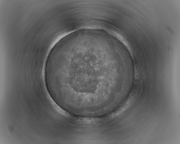 X0000113340803200910060957