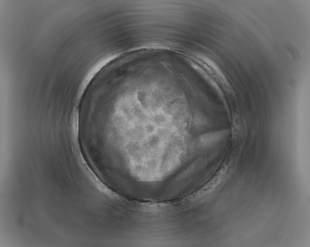 X0000113340804200910060957