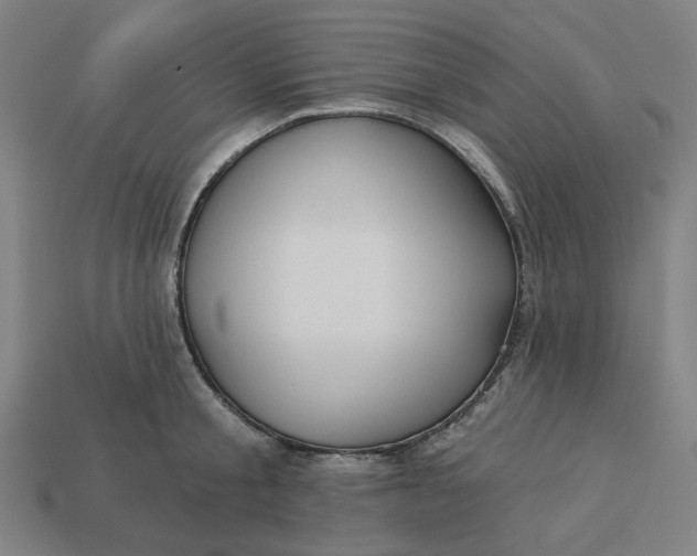 X0000113340805200910060957