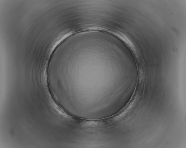 X0000113340806200910060957