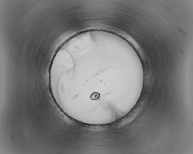 X0000113340807200910060957