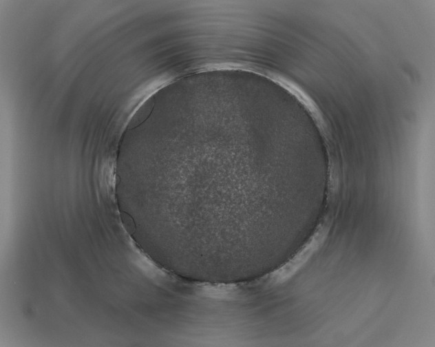 X0000113340809200910060957