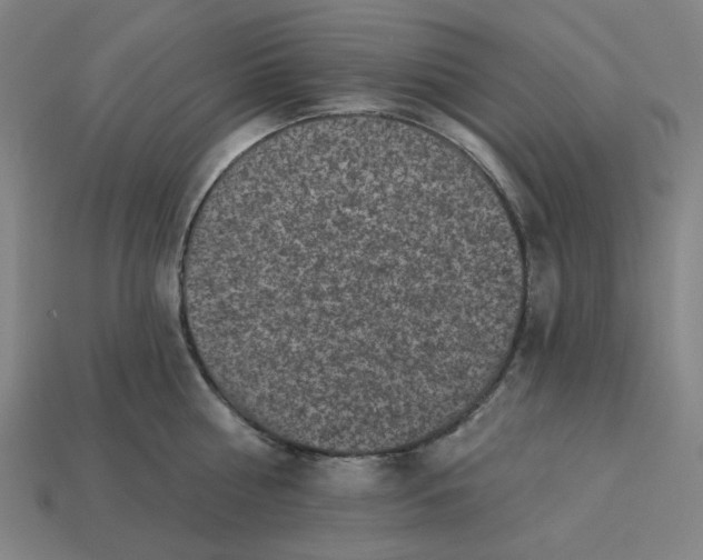 X0000113340810200910060957