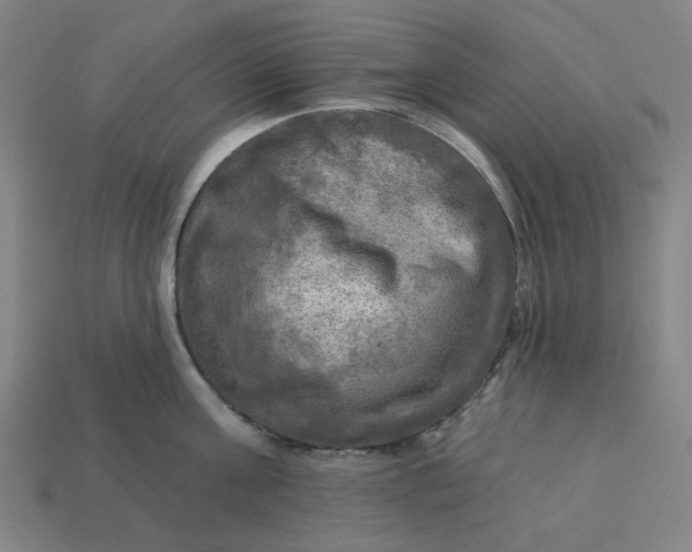 X0000113340811200910060957