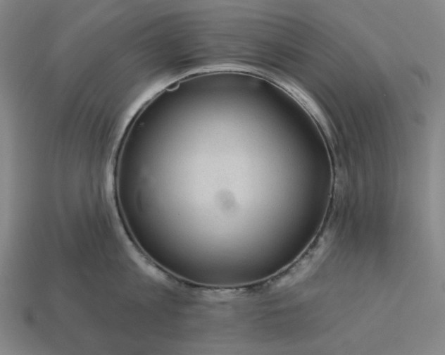 X0000113340813200910060956