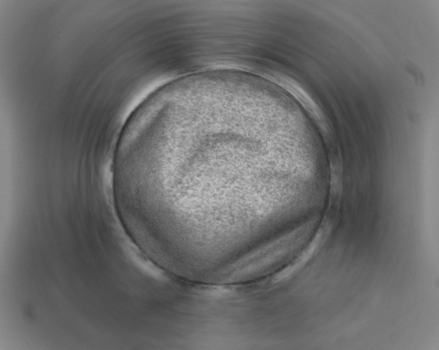 X0000113340814200910060956