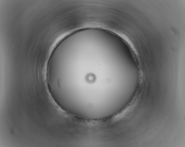 X0000113340815200910060956