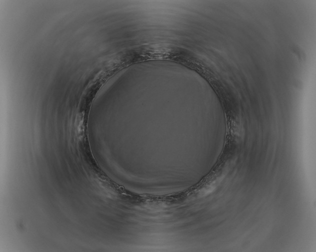 X0000113340818200910060956