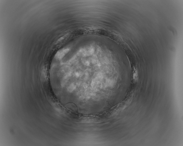 X0000113340819200910060956