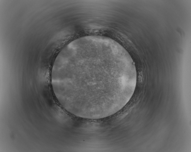 X0000113340820200910060956