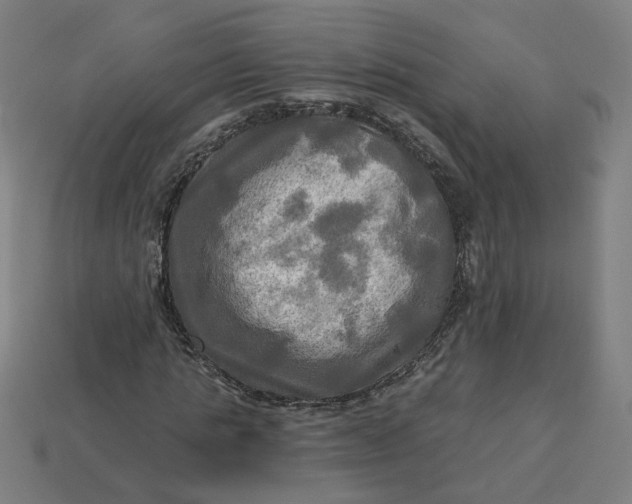 X0000113340821200910060956