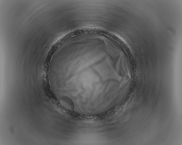 X0000113340823200910060956