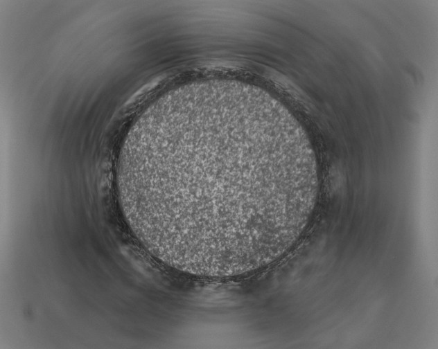 X0000113340824200910060956