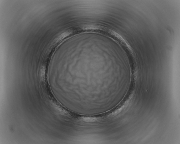 X0000113340825200910060956