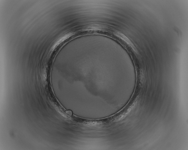 X0000113340826200910060956