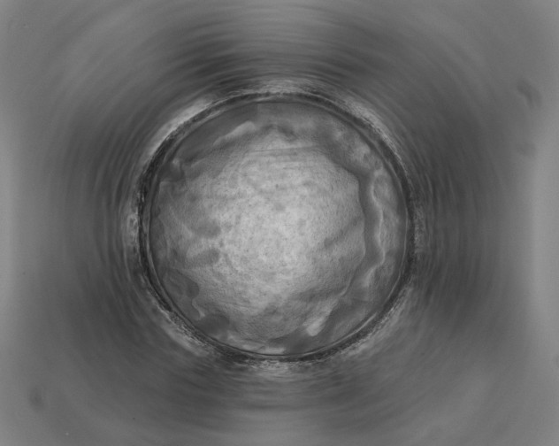 X0000113340827200910060956