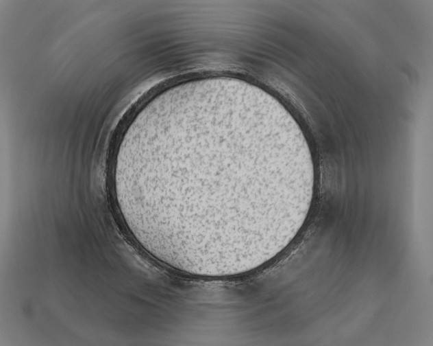 X0000113340828200910060956