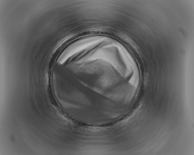 X0000113340829200910060956