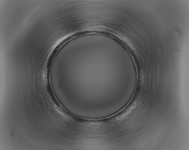 X0000113340830200910060956