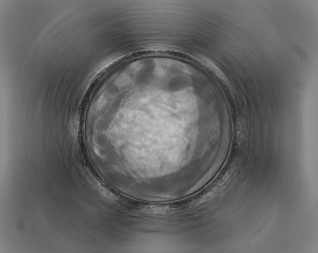 X0000113340831200910060956