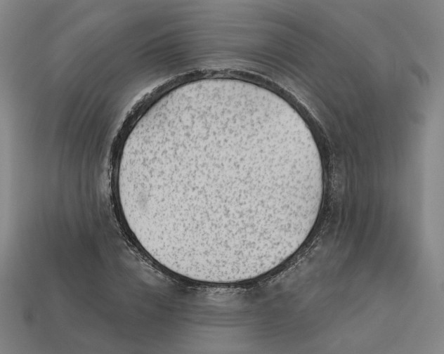 X0000113340832200910060956