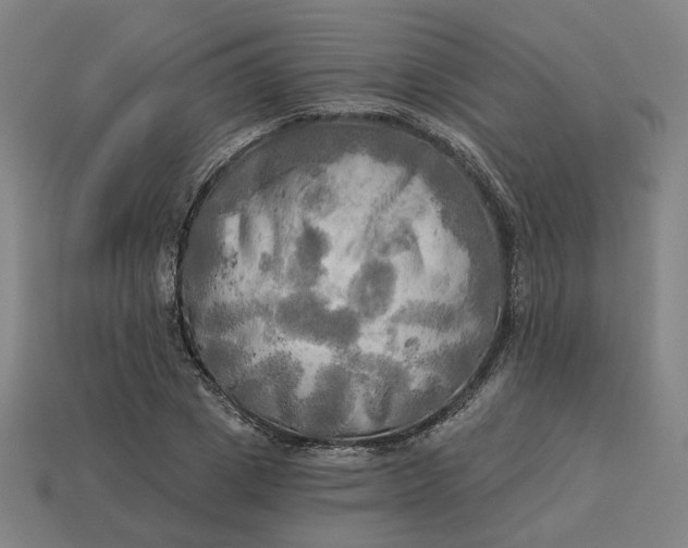 X0000113340833200910060956