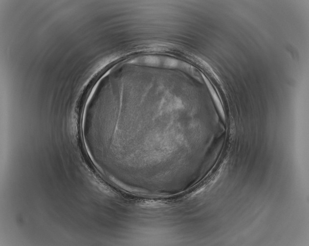 X0000113340835200910060956