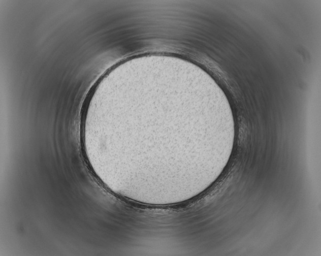 X0000113340836200910060956