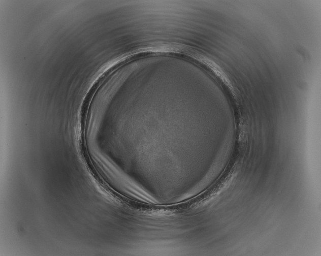 X0000113340837200910060956