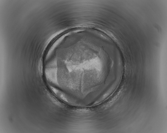 X0000113340838200910060956